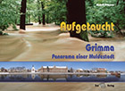 Logo:Aufgetaucht. Grimma – Panorama einer Muldestadt